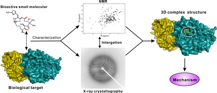 Small_molecular_interaction